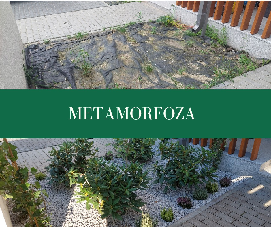 Porównanie stanu przed i po: fragment ogrodu z czarną agrowłókniną przed nasadzeniami i ten sam fragment po posadzeniu krzewów i wysypaniu żwiru.