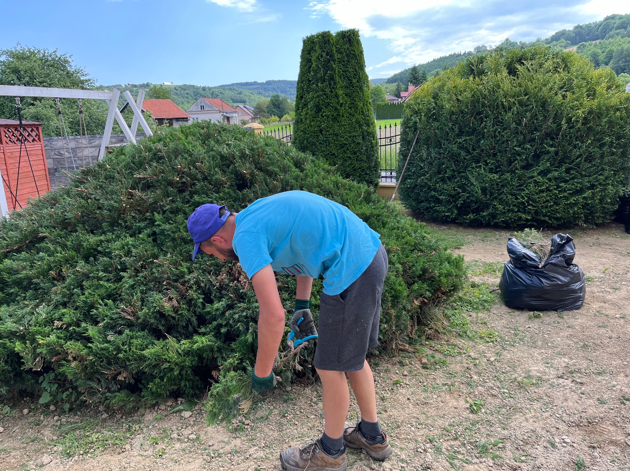 Mężczyzna w niebieskiej koszulce i czapce przycina krzew nożycami ogrodowymi; widoczny czarny worek na odpady, w tle domy i drzewa.