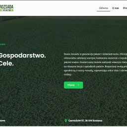 Pracując nad Stroną RozsadaZKrakowa, mimo niewielu zleceń, firma zaufała mi i nie zawiodłem. Włożyłem serce w ich projekt.