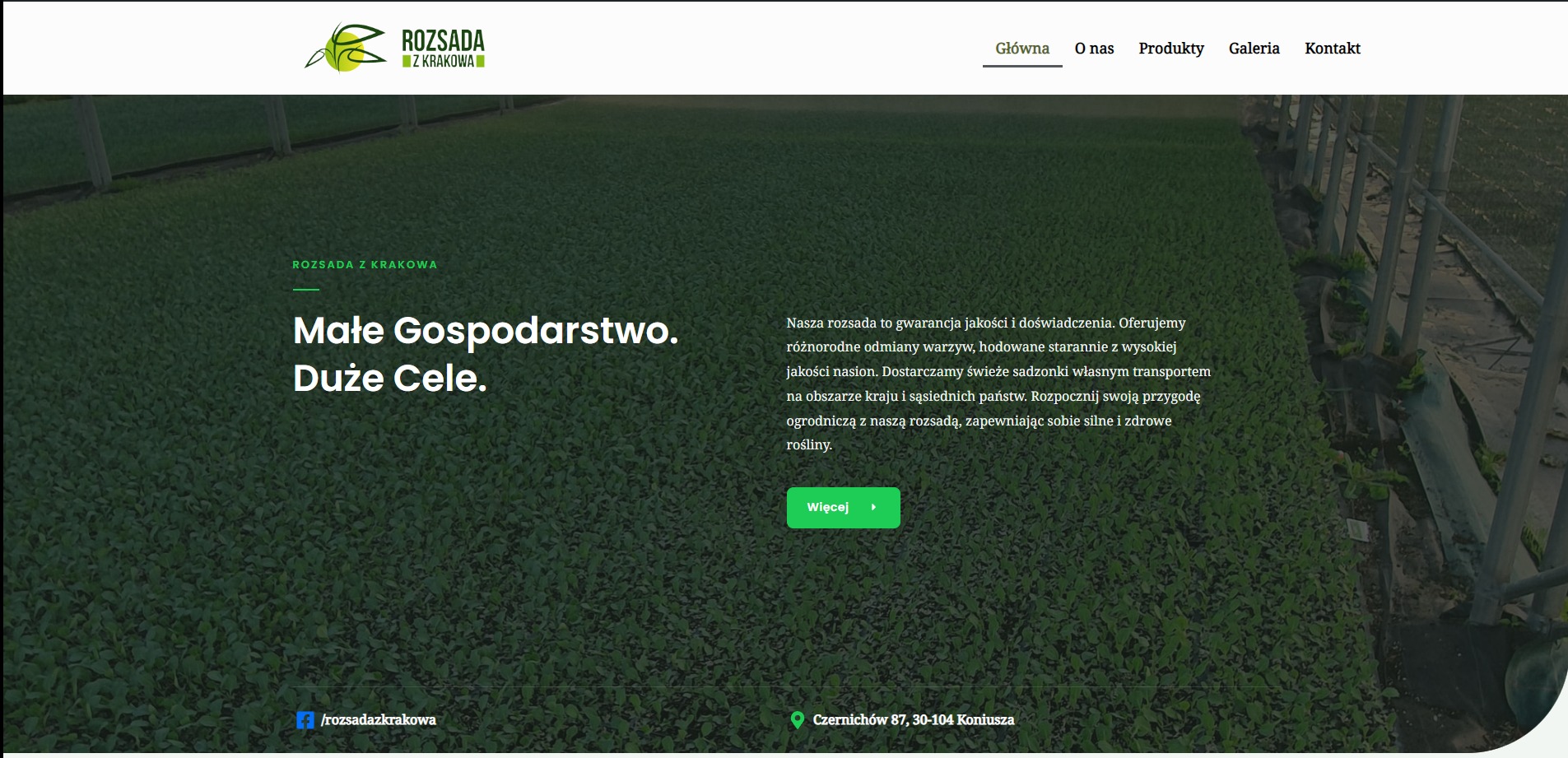 Strona internetowa firmy Rozsada z Krakowa, prezentująca uprawę rozsady w szklarni, z widocznym logo i menu nawigacyjnym.