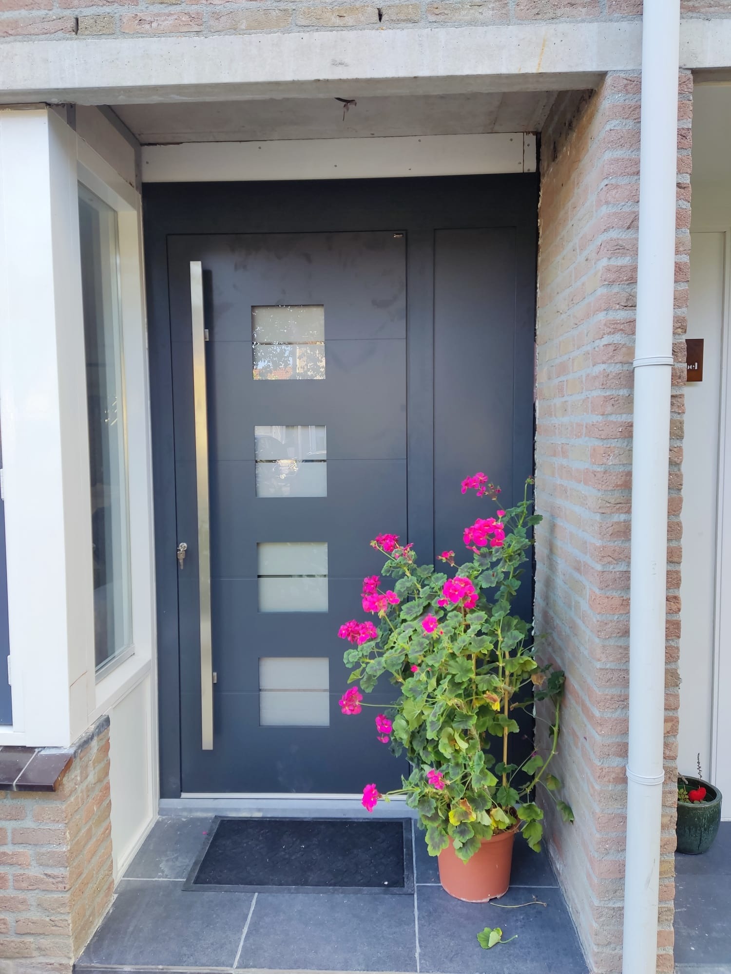 Nowoczesne, antracytowe drzwi wejściowe z czterema kwadratowymi przeszkleniami, ozdobione doniczką z kwitnącymi na różowo pelargoniami, widoczne z zewnątrz budynku.