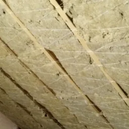 Izolacja poddasza z wełny mineralnej, zabezpieczona sznurkiem, widoczne drewniane belki konstrukcyjne.