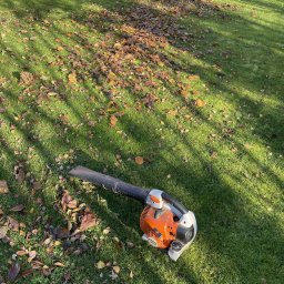 Mariusz Jach JACHKOP Kompleksowe usługi minikoparką - Liście na trawniku i dmuchawa do liści Stihl. Częściowo zebrane liście na trawie w słoneczny dzień. Sprzęt do porządkowania ogrodu.