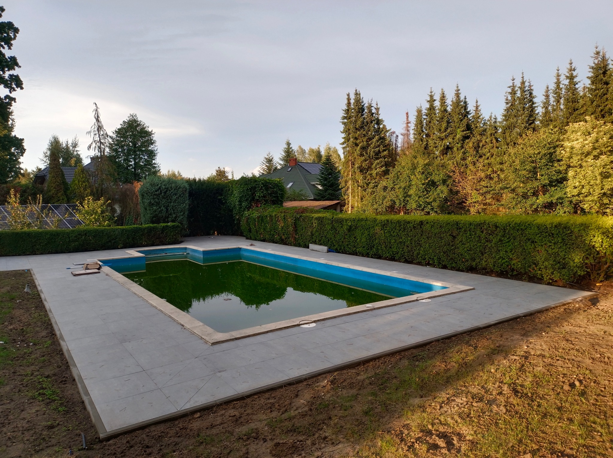 Szare płyty okalają basen z zieloną wodą. Otoczenie: trawnik, żywopłot, drzewa iglaste i budynek z panelami słonecznymi w tle. Widok z poziomu gruntu.