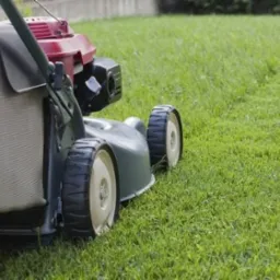 Czerwono-szara kosiarka spalinowa na zielonym trawniku, widok z boku.
