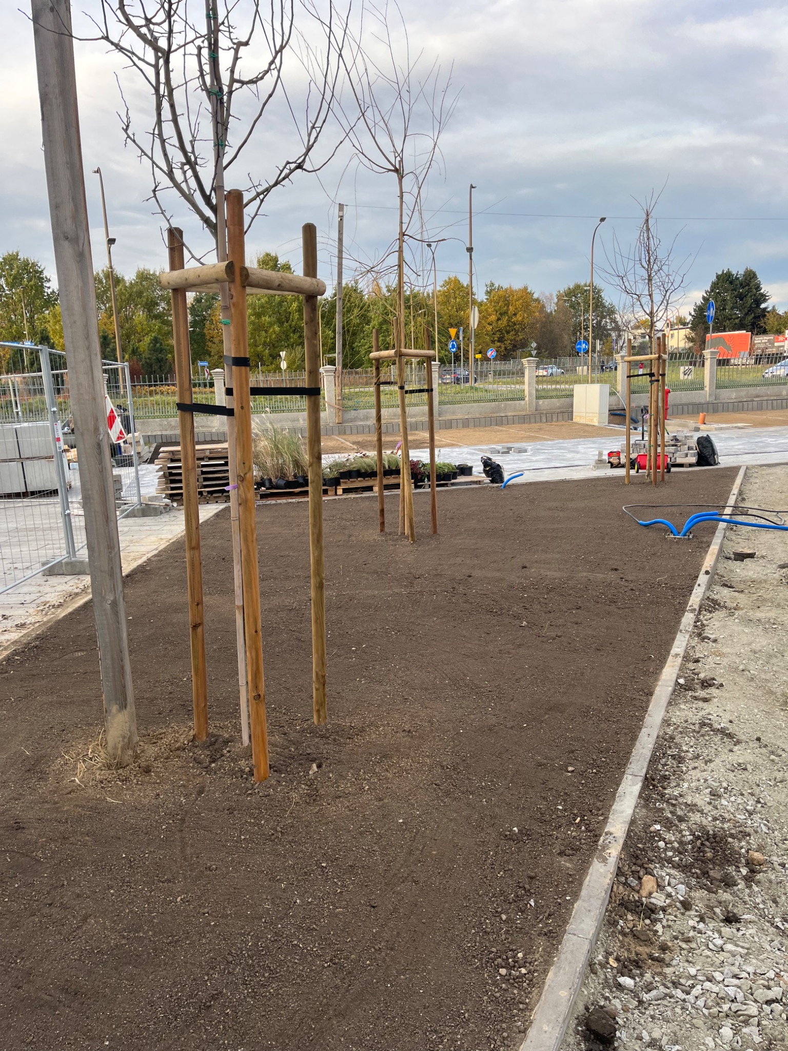 Przygotowany teren pod nasadzenia drzew i roślin ozdobnych, widoczne drewniane podpory dla drzewek, palety z roślinami w doniczkach, nawodnienie oraz fragment nowej nawierzchni z kostki brukowej...