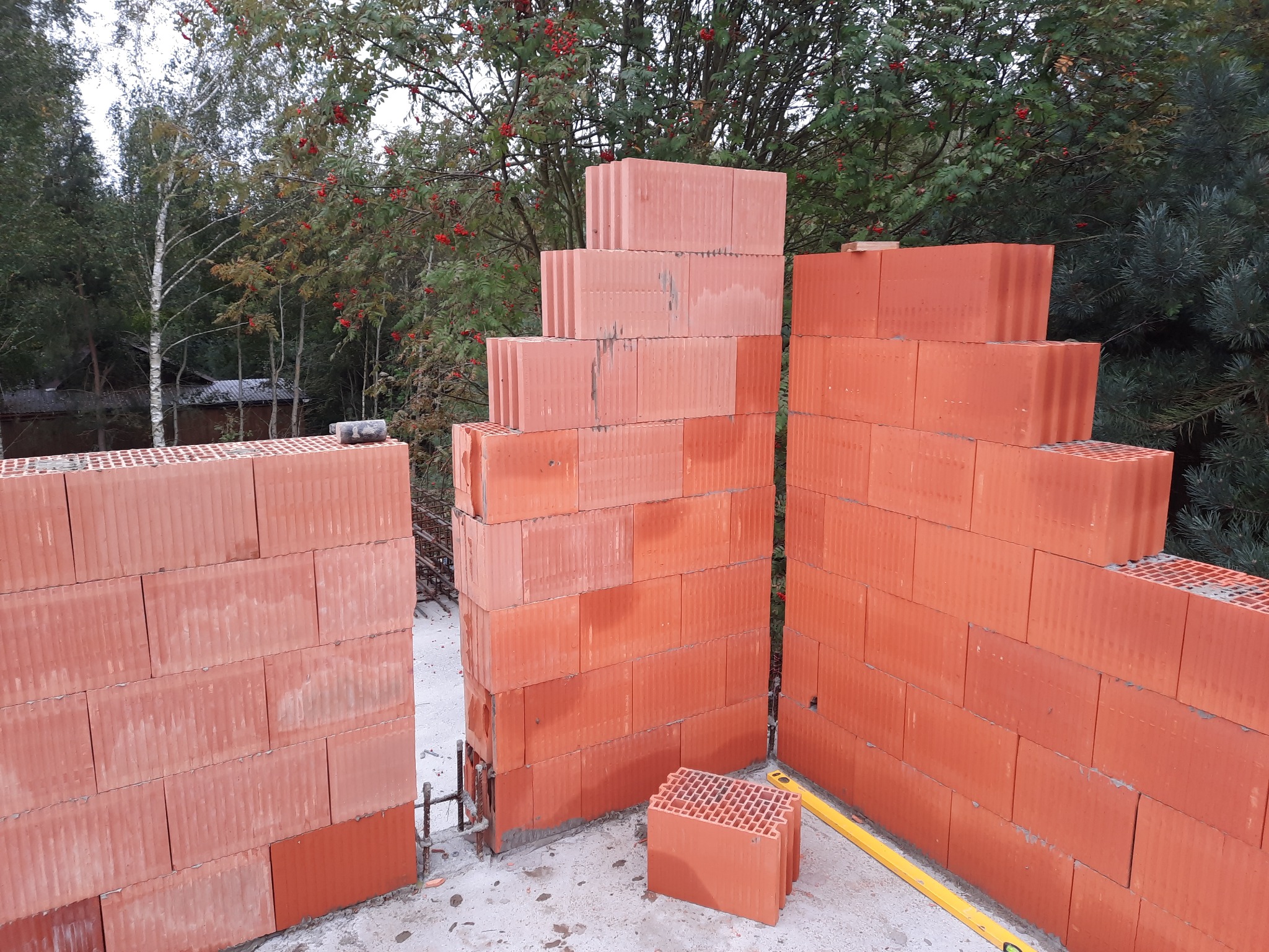 Wznoszenie ścian zewnętrznych z czerwonych bloczków ceramicznych na fundamencie, widoczne zbrojenie i poziomica, w tle drzewa z czerwonymi owocami jarzębiny.
