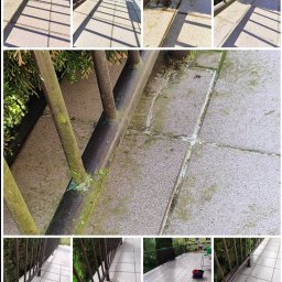 Przycinanie drzew Dobrzyca 1