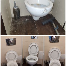 Przycinanie drzew Dobrzyca 3