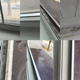 Przycinanie drzew Dobrzyca 4