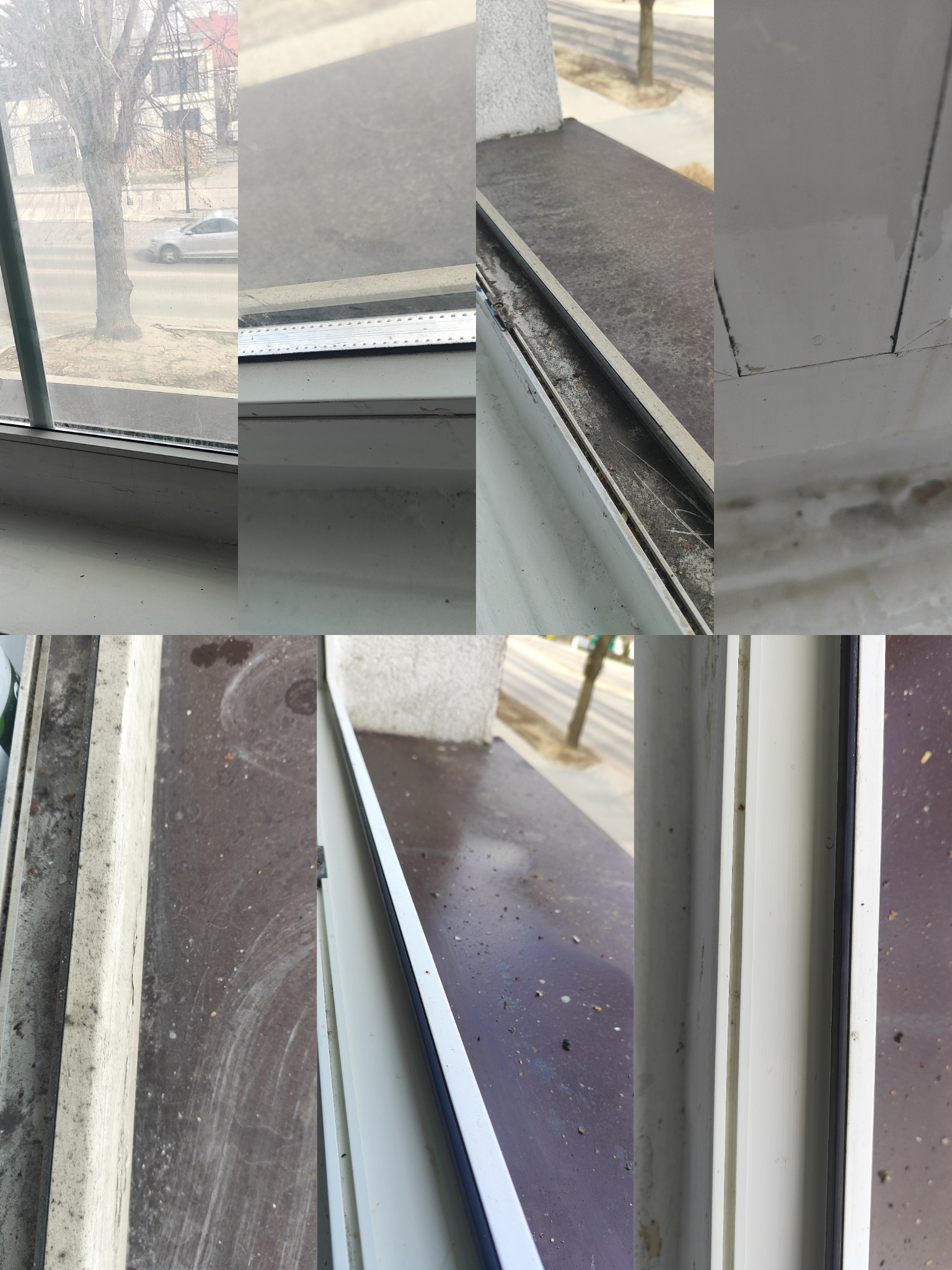 Brudne okna i parapety w zbliżeniu, wymagające czyszczenia. Widoczne zabrudzenia na ramach okiennych i szybach.