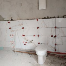 Układanie paneli Torzym 2