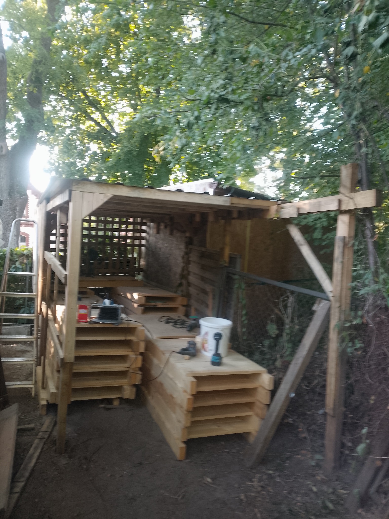 Konstrukcja z surowego drewna w ogrodzie, prawdopodobnie altana w trakcie budowy. Widoczne narzędzia i materiały budowlane. Ujęcie w słoneczny dzień.