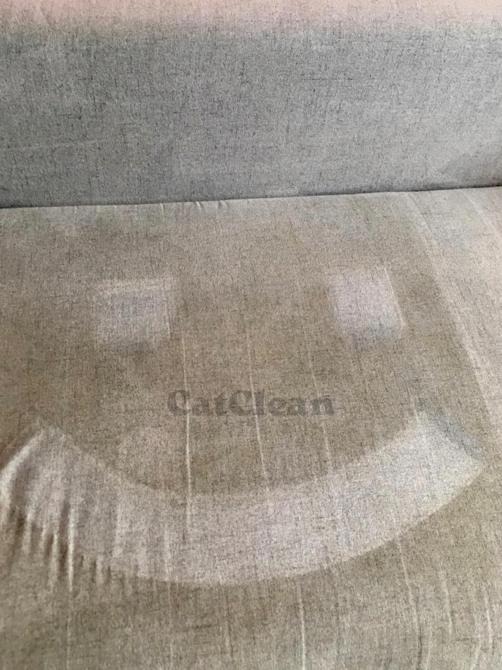 Jasnoszara tapicerka sofy z widocznymi śladami po czyszczeniu. Na materiale widnieje napis 'CatClean'.