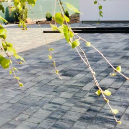 Układanie kostki brukowej Santok 3