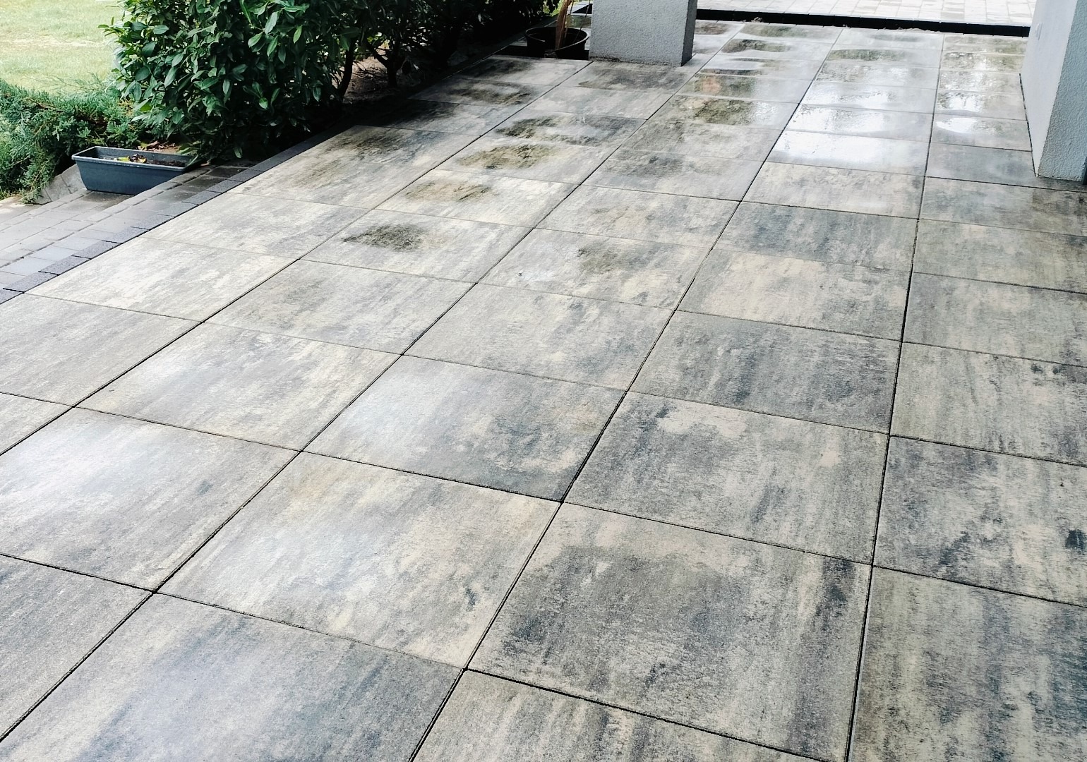 Świeżo ułożona, wilgotna kostka brukowa w odcieniach szarości i beżu, tworząca regularny wzór na podwórku z widoczną roślinnością w tle.
