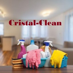 CRISTAL CLEAN MAGDALENA REDKE - Usługi Sprzątania Pucice