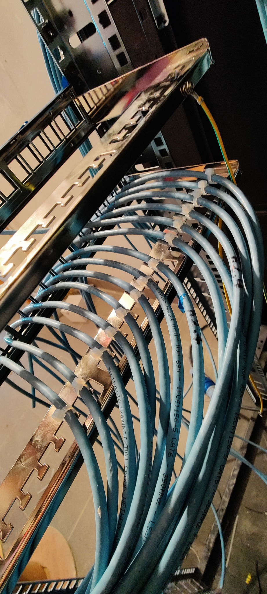 Uporządkowane kable sieciowe CAT6 w metalowej szafie rack, zabezpieczone plastikowymi opaskami, z widocznymi oznaczeniami na przewodach.