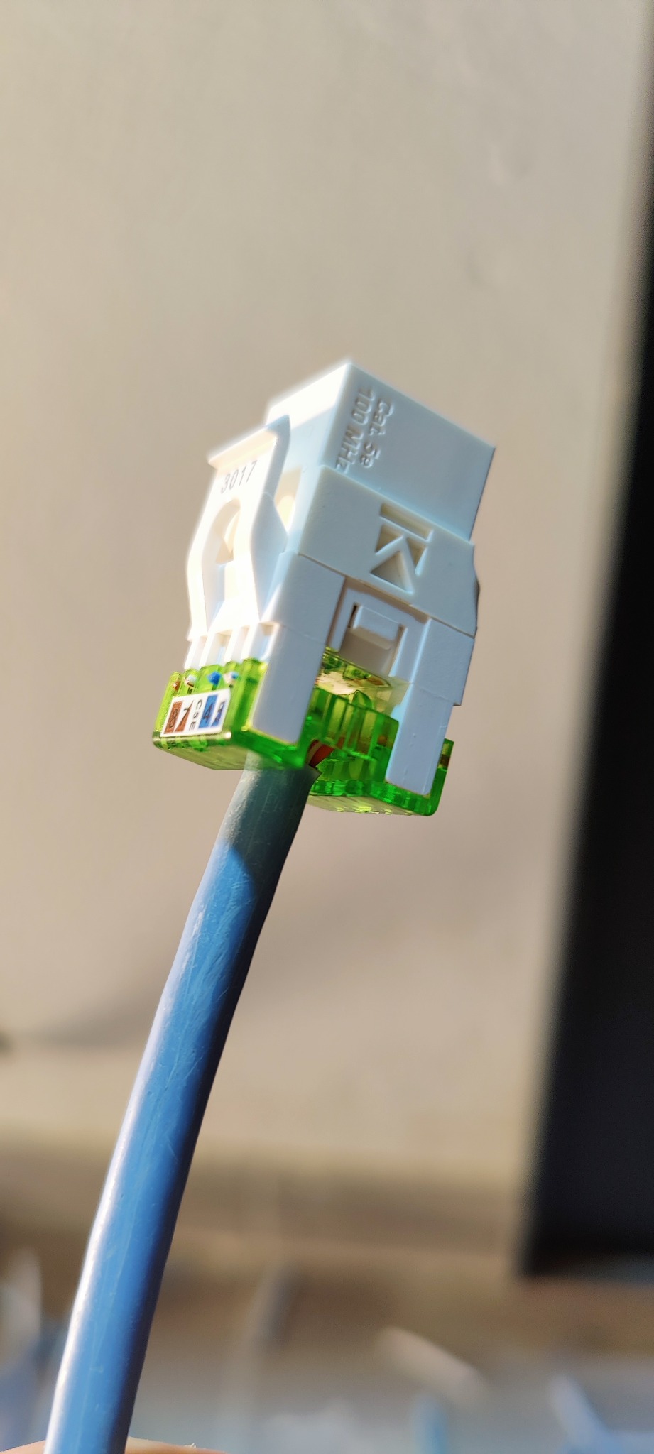 Złącze RJ45 kategorii 5e z niebieskim kablem sieciowym, widoczne oznaczenia CAT 5e 100 MHZ oraz numer 3017 na obudowie.