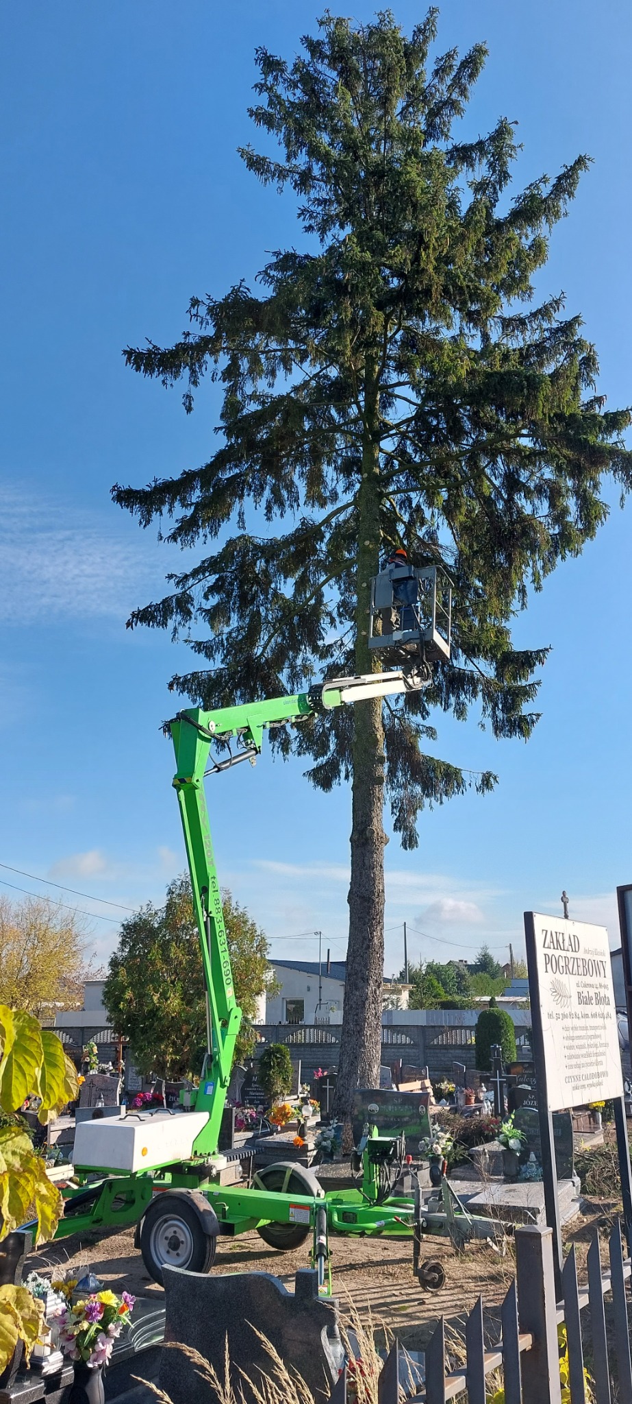 Wycinka wysokiej choinki na cmentarzu przy użyciu podnośnika koszowego z zielonym ramieniem.
