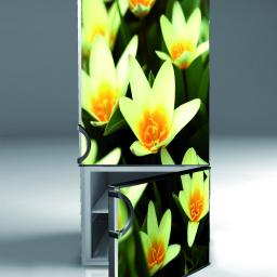 Naklejki wielkoformatowe na gładkie powierzchnie