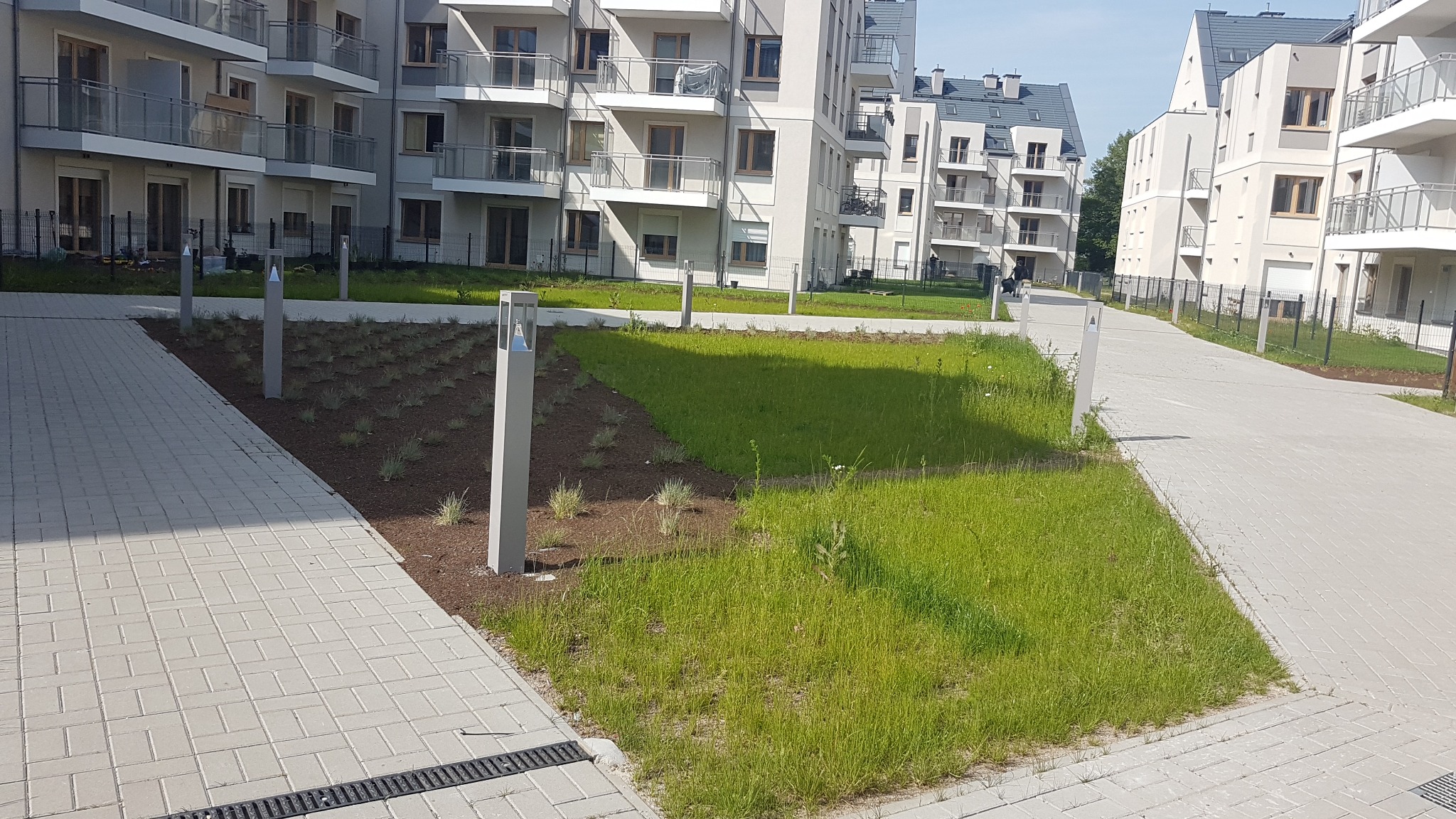 Nowoczesne osiedle mieszkaniowe z chodnikiem wyłożonym jasną kostką brukową, trawnikiem z młodymi nasadzeniami i minimalistycznymi latarniami w tle.