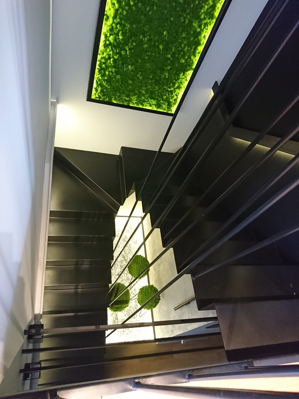 Nowoczesne schody z czarną metalową balustradą, widok z góry, z dekoracyjnym panelem z mchu na suficie i trzema kulami z mchu pod schodami.