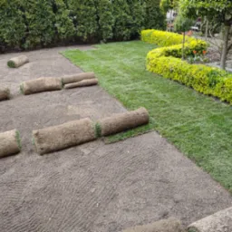 Rozwinięta i nierozwinięta trawa w rolkach na przygotowanym podłożu w ogrodzie, widoczne krzewy w tle.