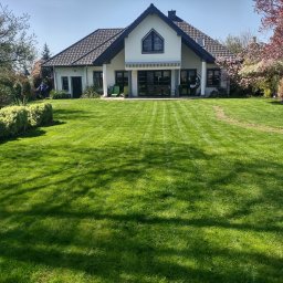 Green Garden Tomasz Szypulski - Rozległy, intensywnie zielony trawnik przed nowoczesnym domem z ciemną dachówką, częściowo skoszony, z widocznymi pasami i pracującym ogrodnikiem w tle.