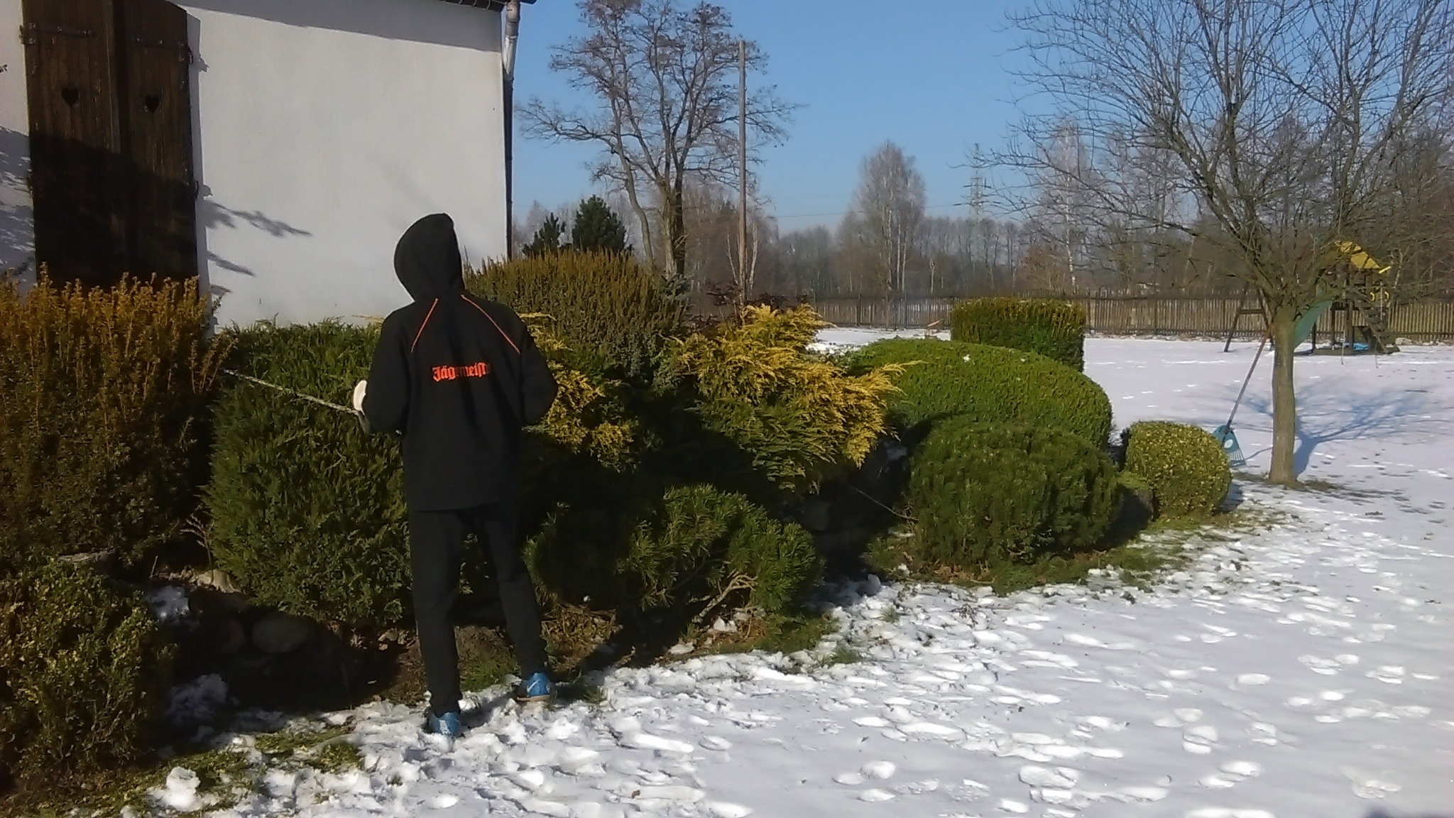 Osoba w czarnym stroju przycina żywopłot nożycami elektrycznymi w zimowym ogrodzie ze śniegiem, widoczne krzewy o różnej fakturze i kolorze. W tle biały budynek i drzewa bez liści.