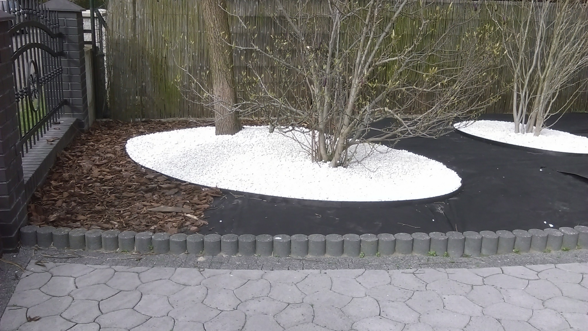 Ogród z wydzielonymi rabatami, wysypanymi białym kamieniem i korą, oddzielonymi obrzeżami z kostki, na czarnej agrowłókninie, w tle bambusowy płot.