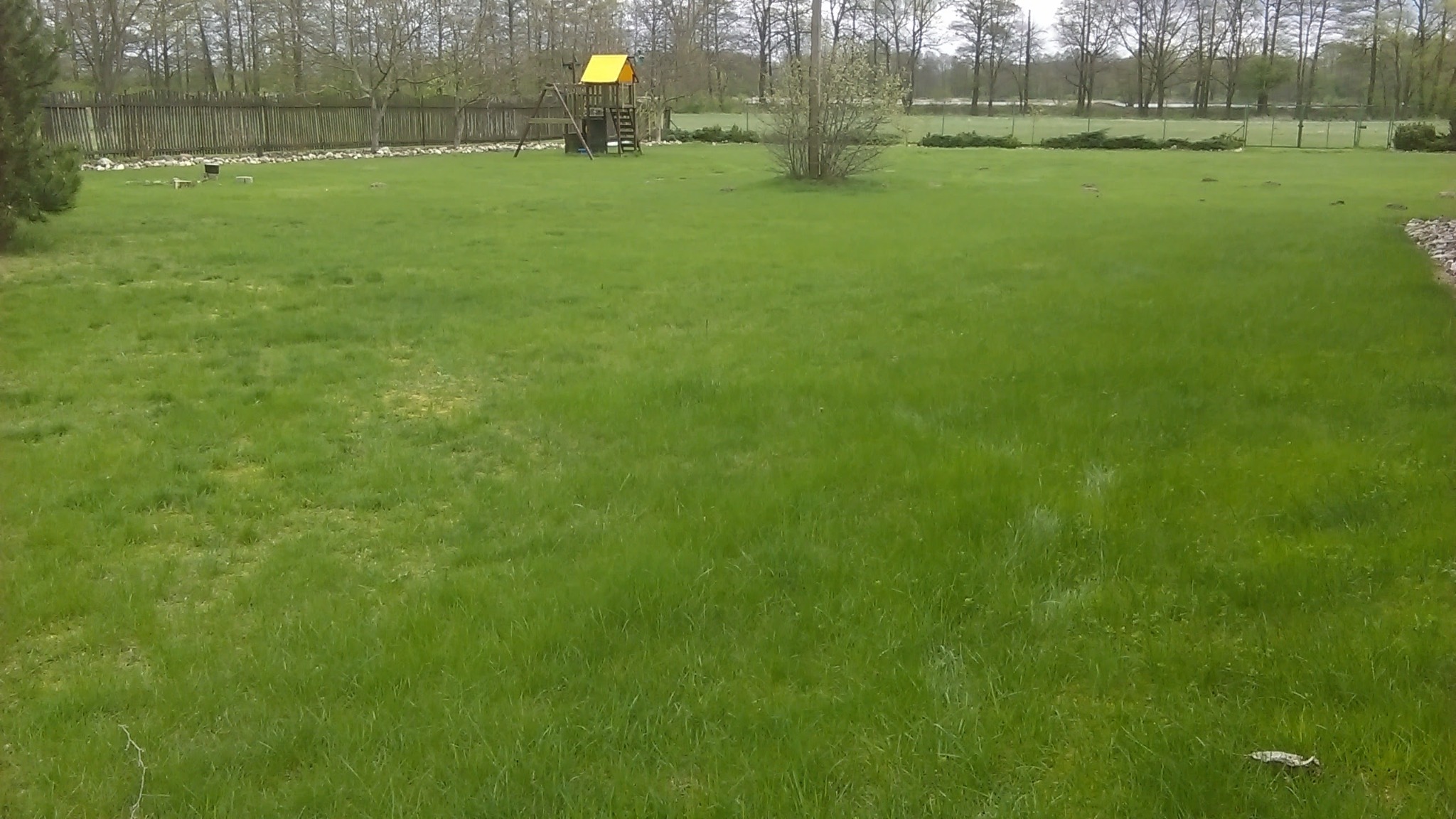 Rozległy, zielony trawnik z placem zabaw w tle, otoczony drewnianym płotem i drzewami.