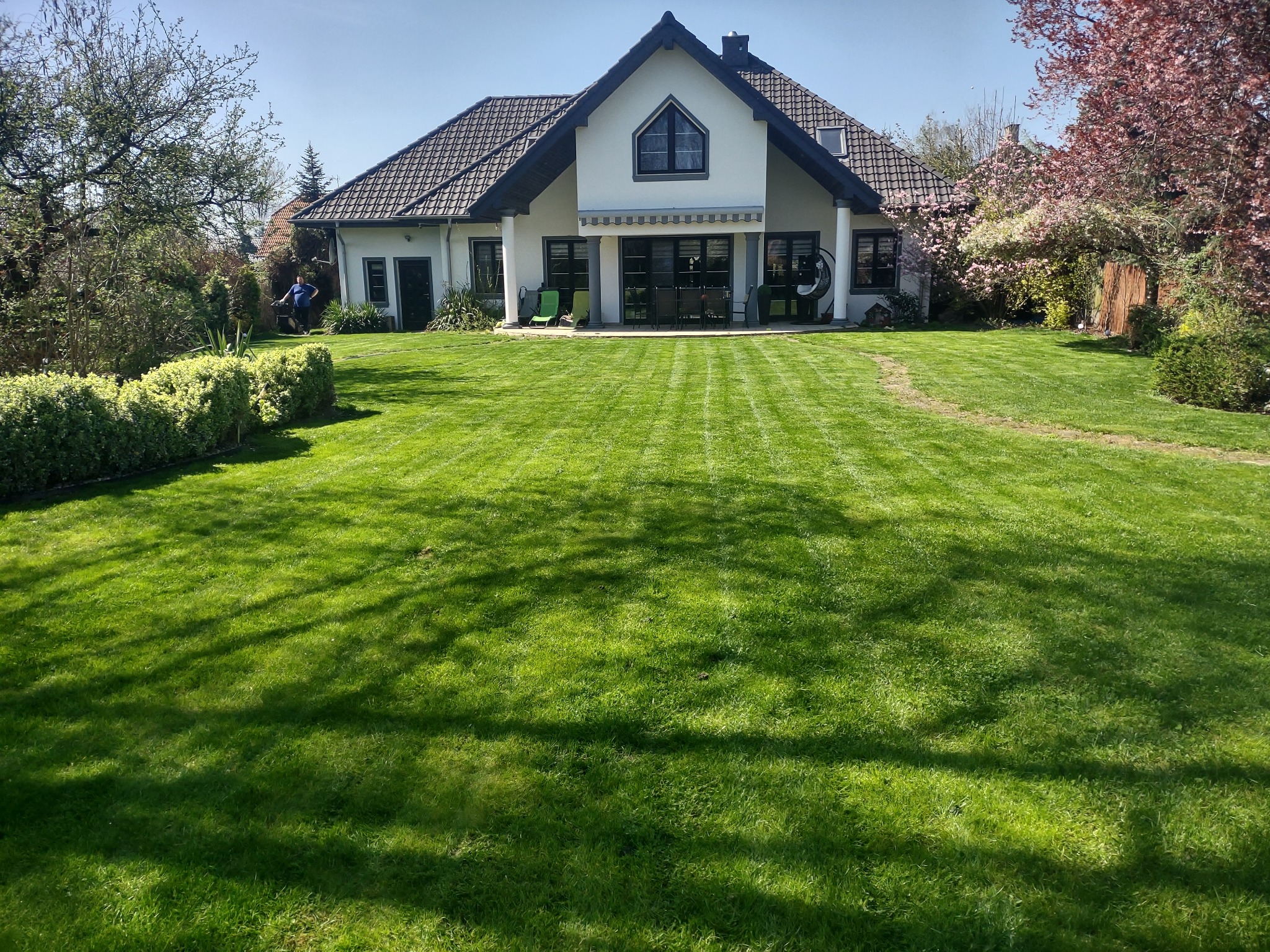 Rozległy, intensywnie zielony trawnik przed nowoczesnym domem z ciemną dachówką, częściowo skoszony, z widocznymi pasami i pracującym ogrodnikiem w tle.