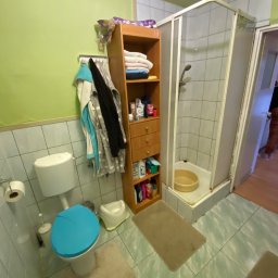 PerfectRenovations - Łazienka z zieloną ścianą, biało-niebieską toaletą, drewnianym regałem, kabiną prysznicową i osobą w tle w drzwiach.