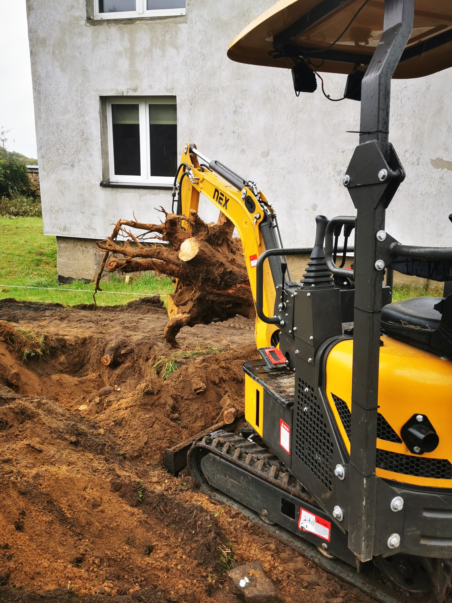 Żółta mini koparka NEX z wyciągniętym korzeniem drzewa na tle budynku z białymi oknami, widoczny wykop w ziemi.