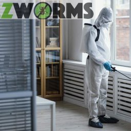 Dezynsekcja i deratyzacja Warszawa 3