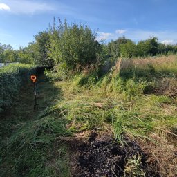 Opróżnianie mieszkań Wrocław 4