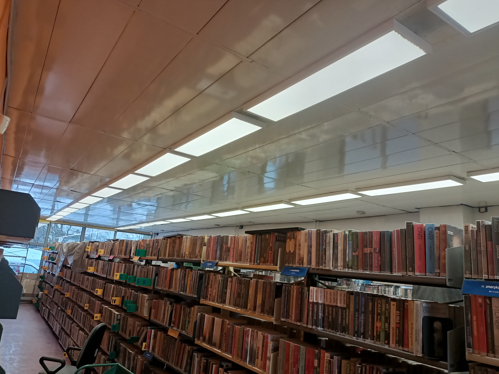 Oświetlenie rastrowe w bibliotece z rzędami półek pełnych książek; widok z dołu na sufit.