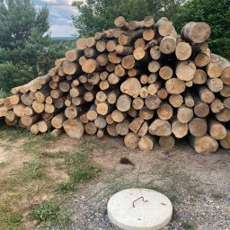 Producent pelletu Masłów 1