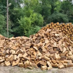 Stos pociętego drewna kominkowego ułożony na ziemi, w tle stos okrąglaków i zielony las.
