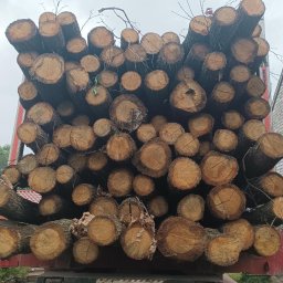 Producent pelletu Masłów 4