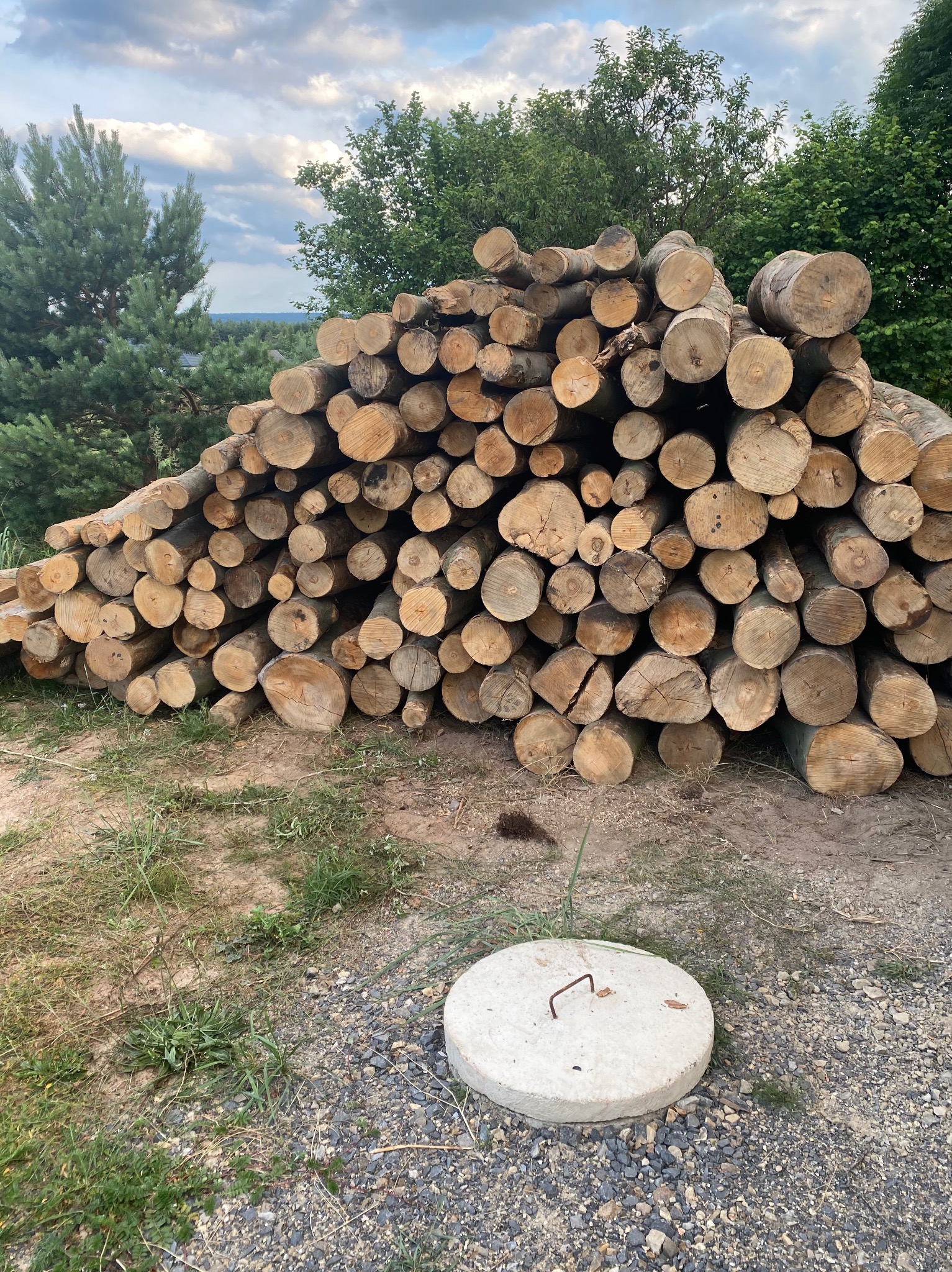 Stos pociętego drewna kominkowego ułożonego na ziemi, widoczna studzienka kanalizacyjna z betonową pokrywą, drzewa w tle.