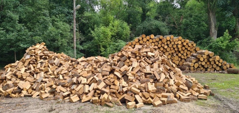 Stos pociętego drewna kominkowego ułożony na ziemi, w tle stos okrąglaków i zielony las.
