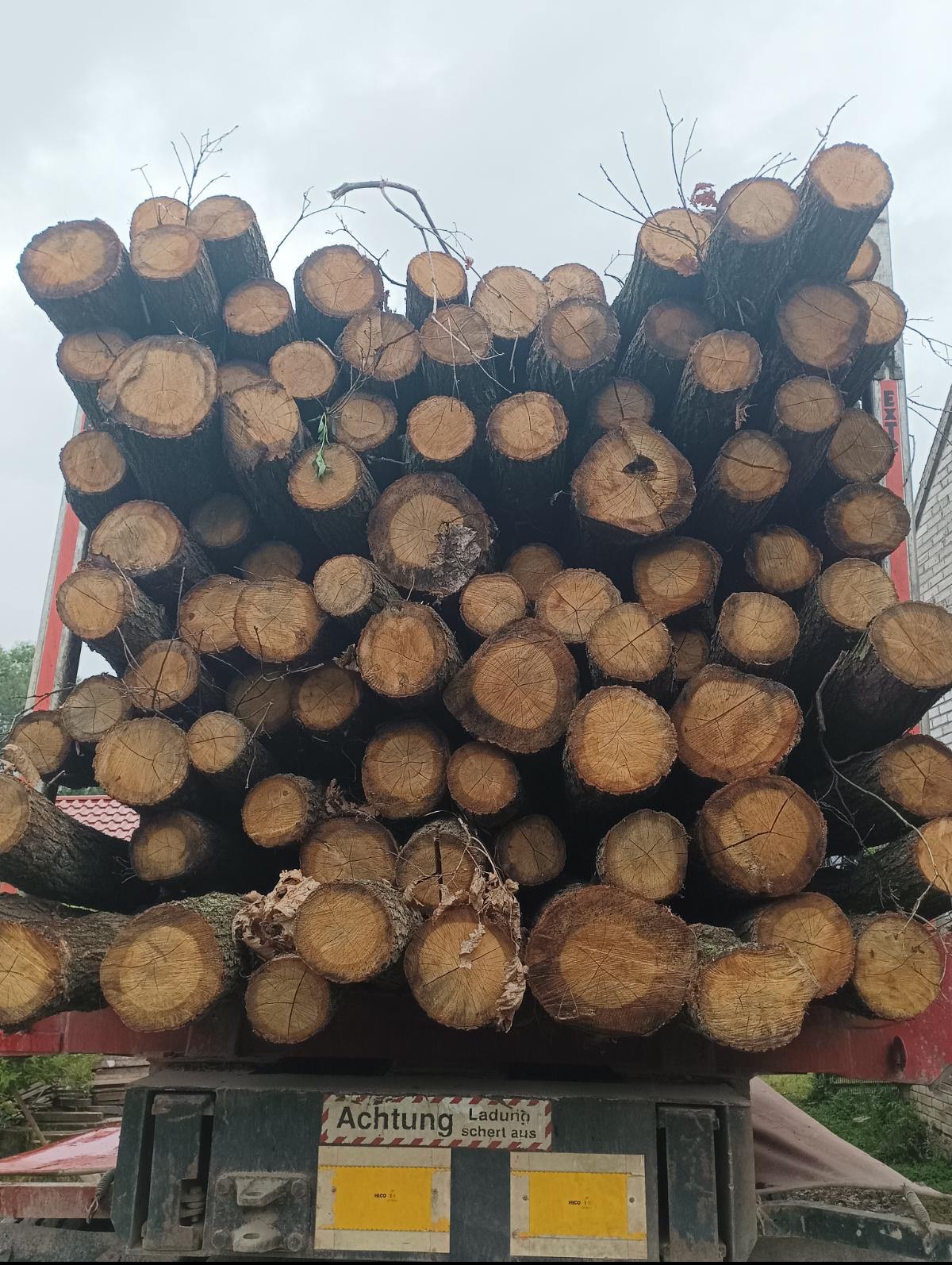 Stos pociętych kłód drzewnych ułożonych na przyczepie z widoczną tablicą ostrzegawczą 'Achtung Ladung schert aus'.