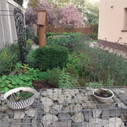 Ogrody-Szkolnicka Art - Przed domem Wrocław