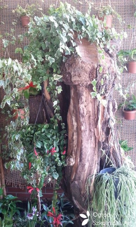 Dekoracyjny pień drzewa z doniczkami i pnączami, tworzący unikalną kompozycję ogrodową na tle ściany wyłożonej matą. Widoczne różne gatunki roślin.