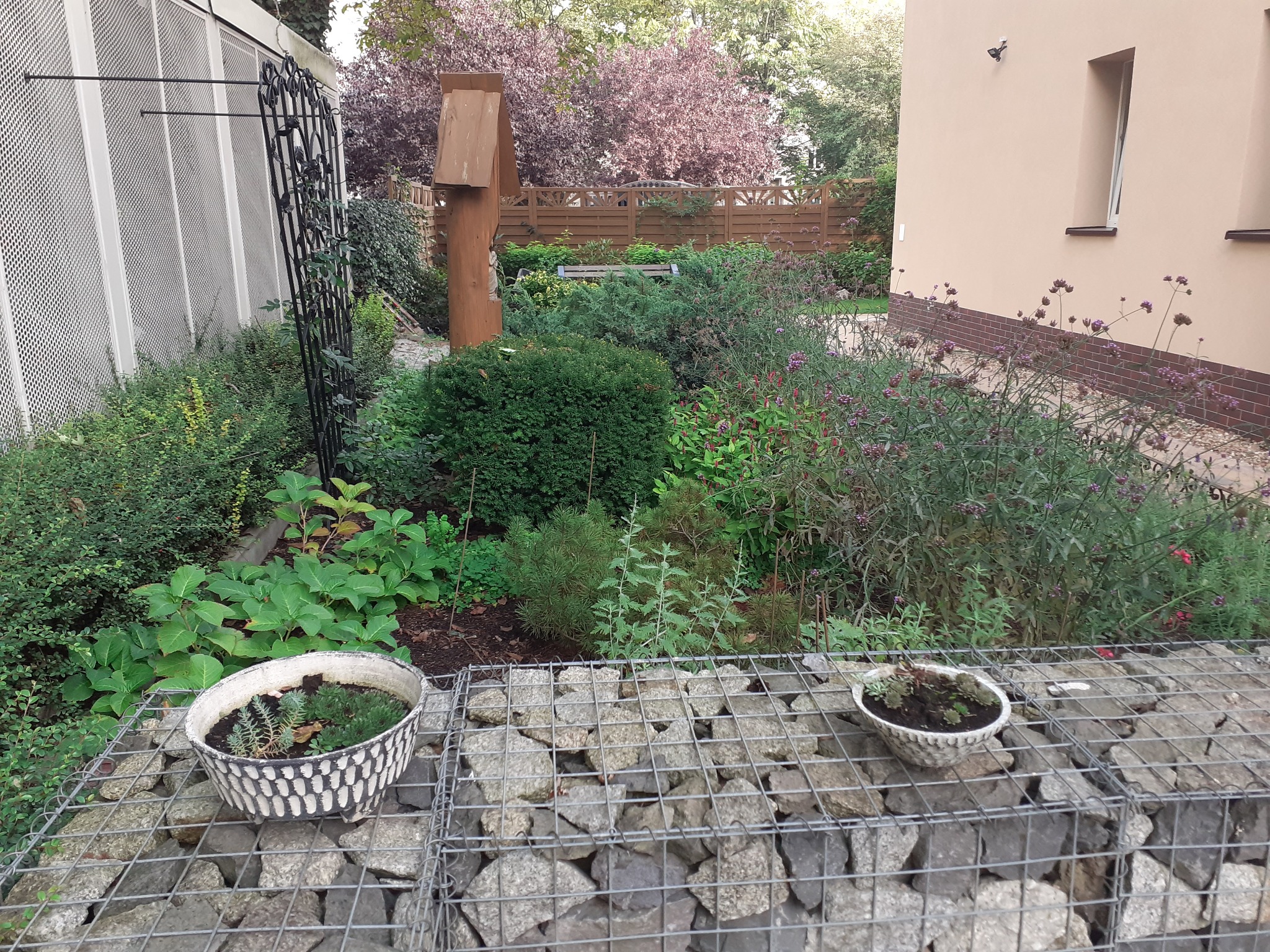 Ogród z gabionami, ceramicznymi donicami i rzeźbą z drewna. W tle kwitnące drzewo i ogrodzenie. Kompozycja roślin zróżnicowana pod względem faktury i koloru.