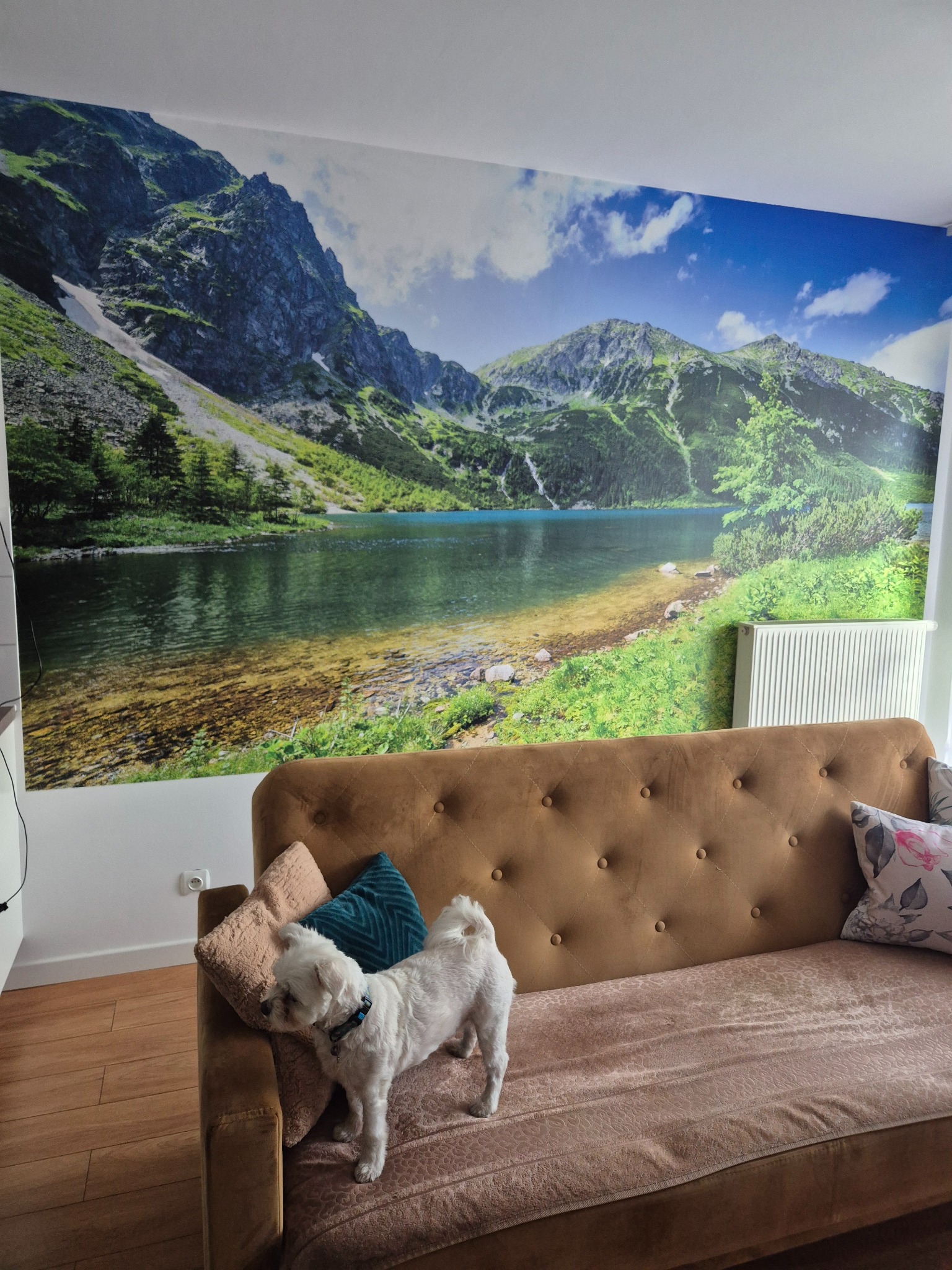 Fototapeta z górskim jeziorem na ścianie za brązową kanapą z poduszkami i białym psem rasy Maltańczyk. Jasne drewniane panele podłogowe.