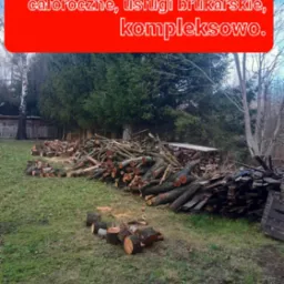 Stosy pociętego drewna i gałęzi na trawniku w ogrodzie, pozostałości po wycince drzew.