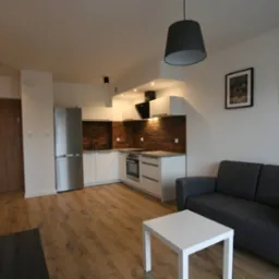 Nowoczesne wnętrze mieszkania z aneksem kuchennym, ceglaną ścianą nad blatem, szarą sofą i białym stolikiem kawowym.